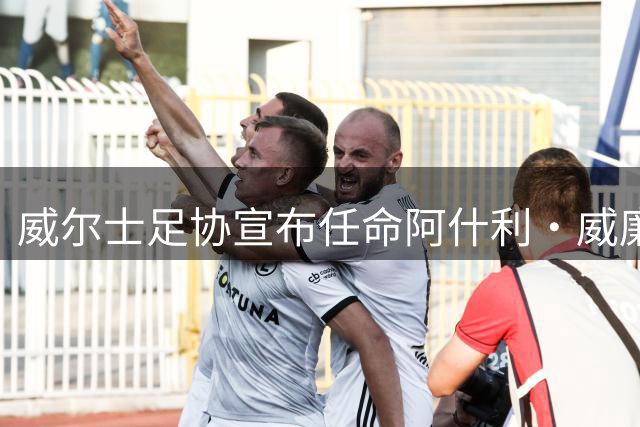 威尔士足协宣布任命阿什利·威廉斯为助理教练